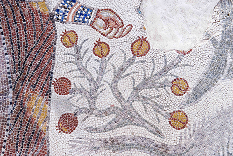 Granadas en el mosaico de Adonis.