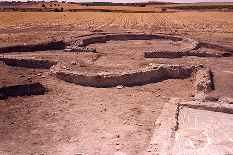 Excavaciones de 1983